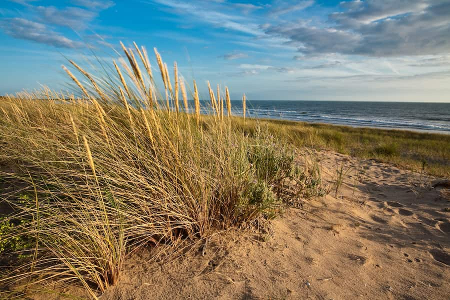 Plage en Vendée proche de Notre-Dame-de-Riez - Camping les Jardins de l'Atlantique