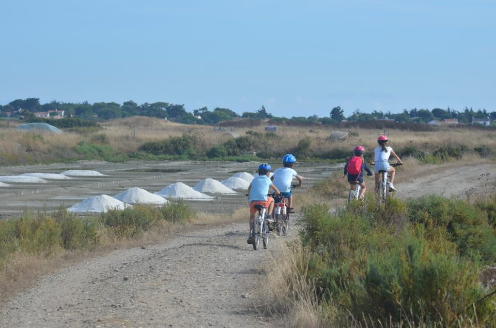 Marais salants à Notre-Dame-de-Riez - Jardins de l'Atlantique